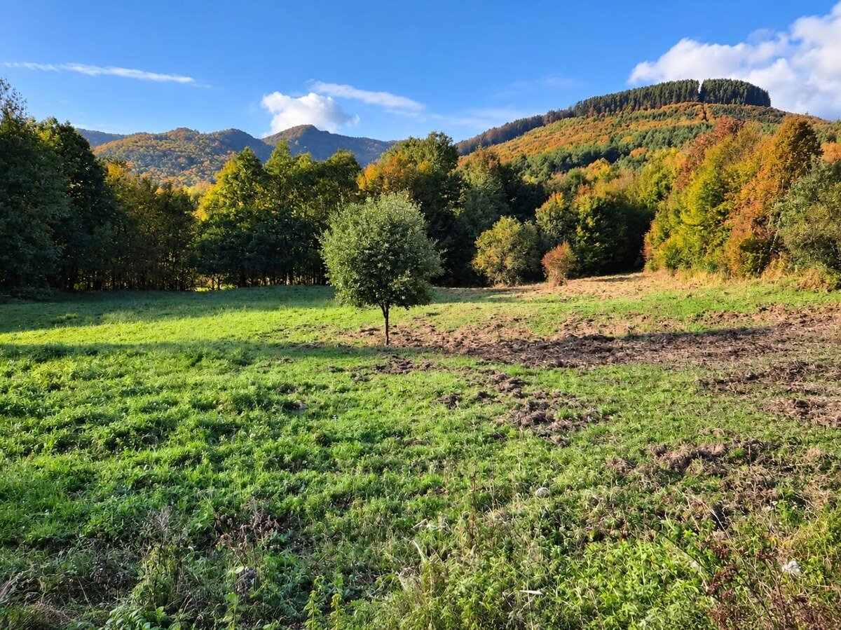 Pozemok 3611m2 v obci Zubák , okres Púchov — foto 3