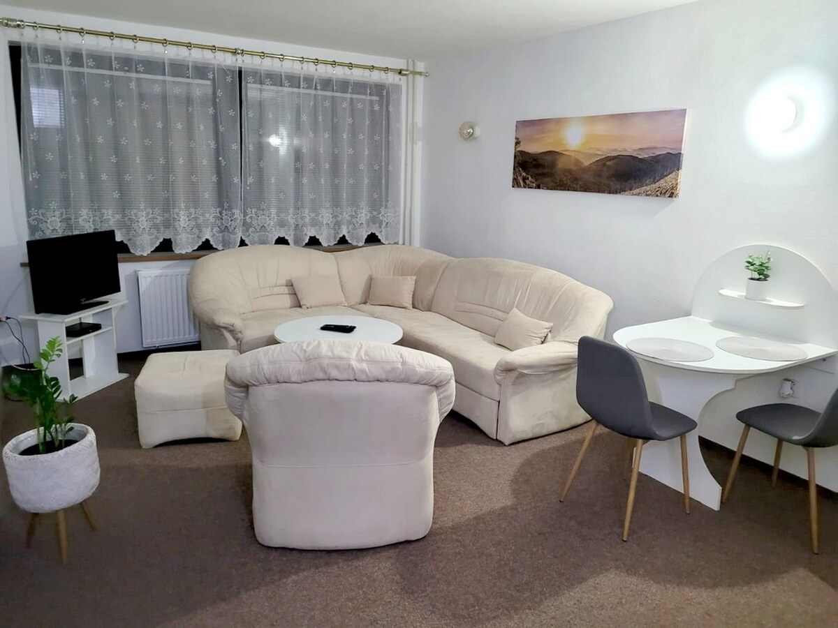 Prenájom 2 izbový byt s parkovaním Pod Párovcami, Piešťany. — foto 2