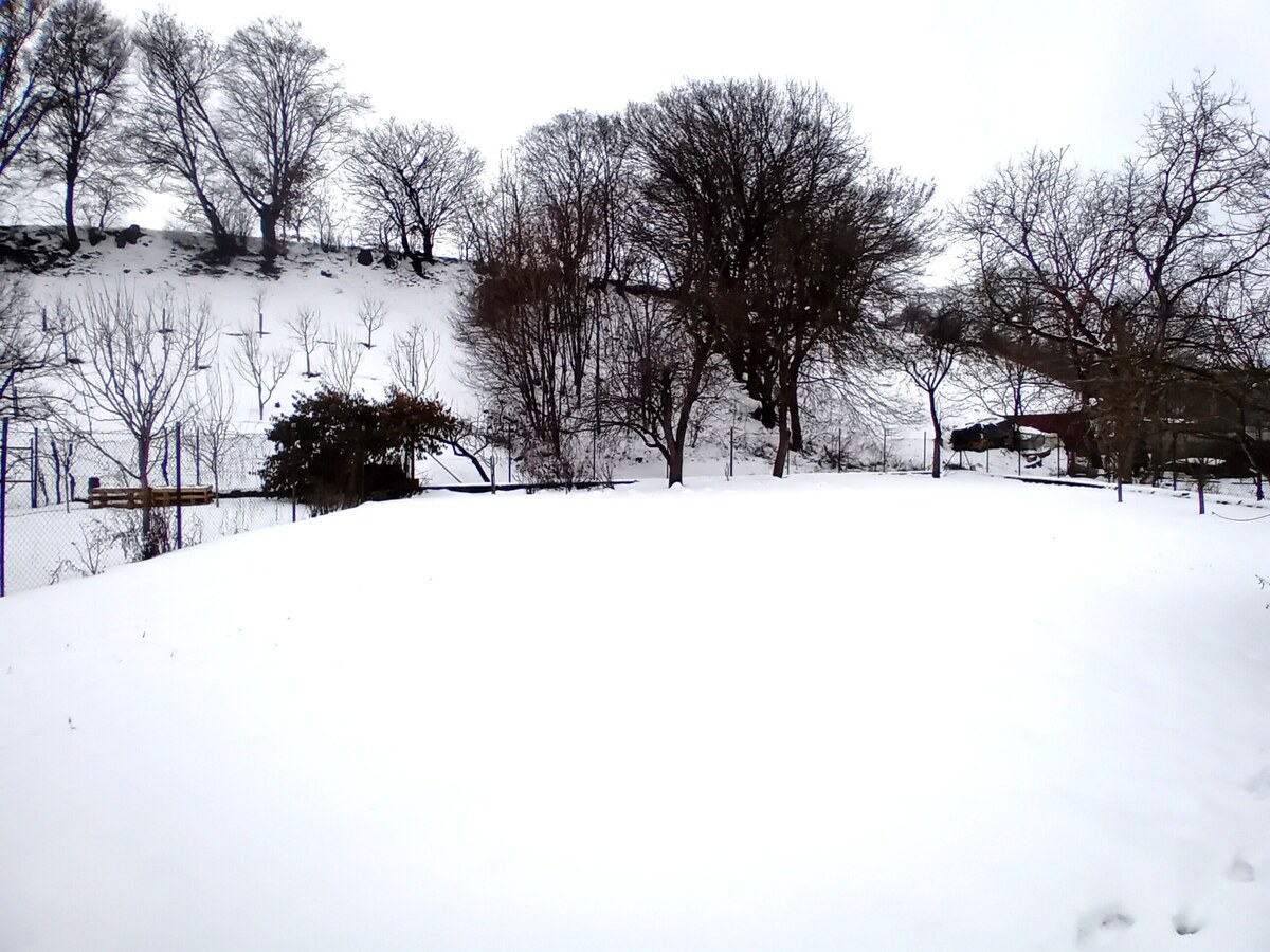 Rodinný dom, Nemšová časť Ľuborča, pozemok 1064 m2 — foto 13