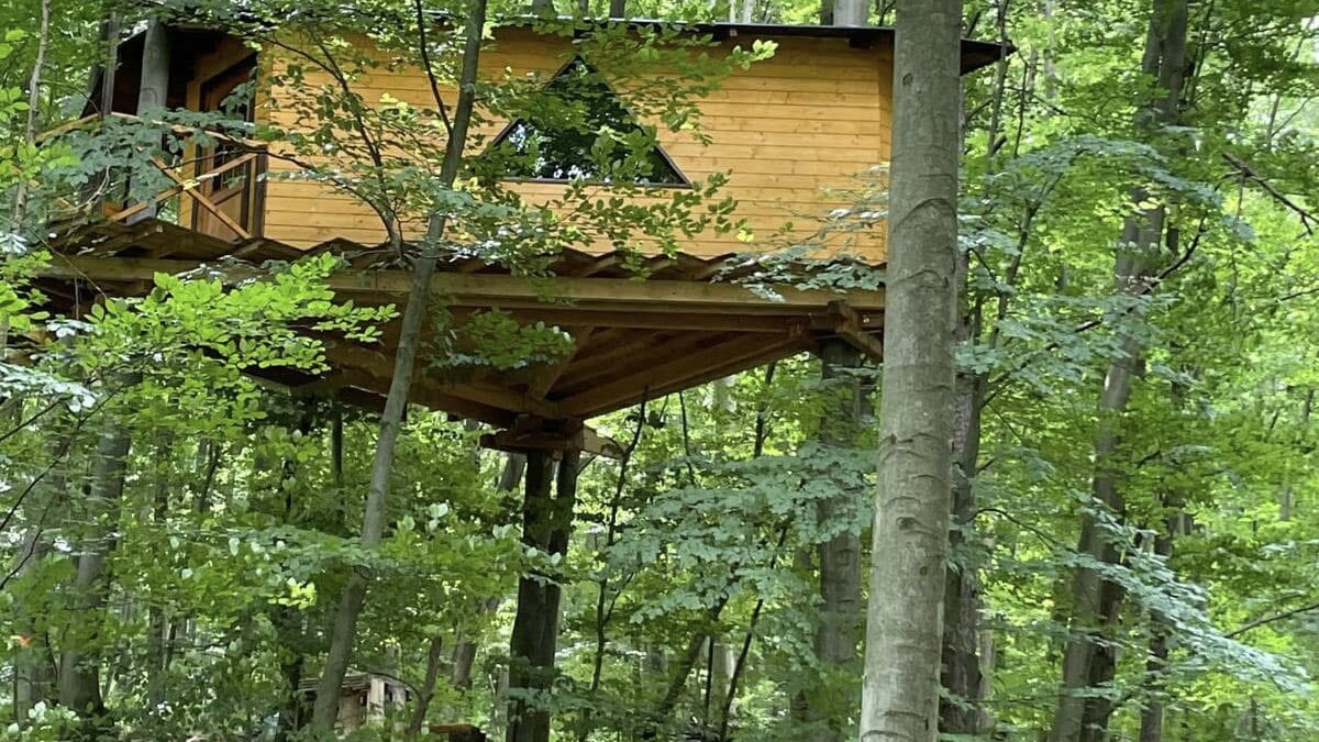 Unikátny domček v korunách stromov (Treehouse) 35m2 s veľkým pozemkom — foto 4