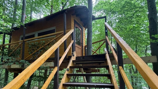 Unikátny domček v korunách stromov (Treehouse) 35m2 s veľkým pozemkom