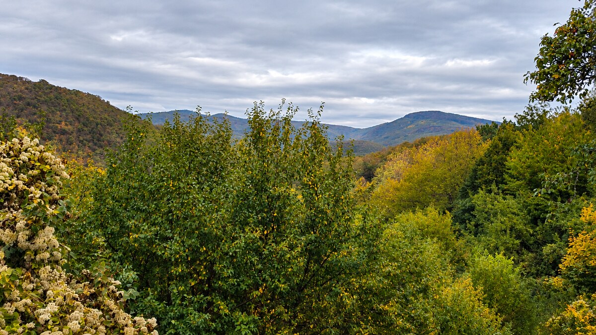 JEDINEČNÁ NEHNUTEĽNOSŤ POD HRADOM TEMATÍN – RODINNÝ DOM + 13046m2 — foto 10
