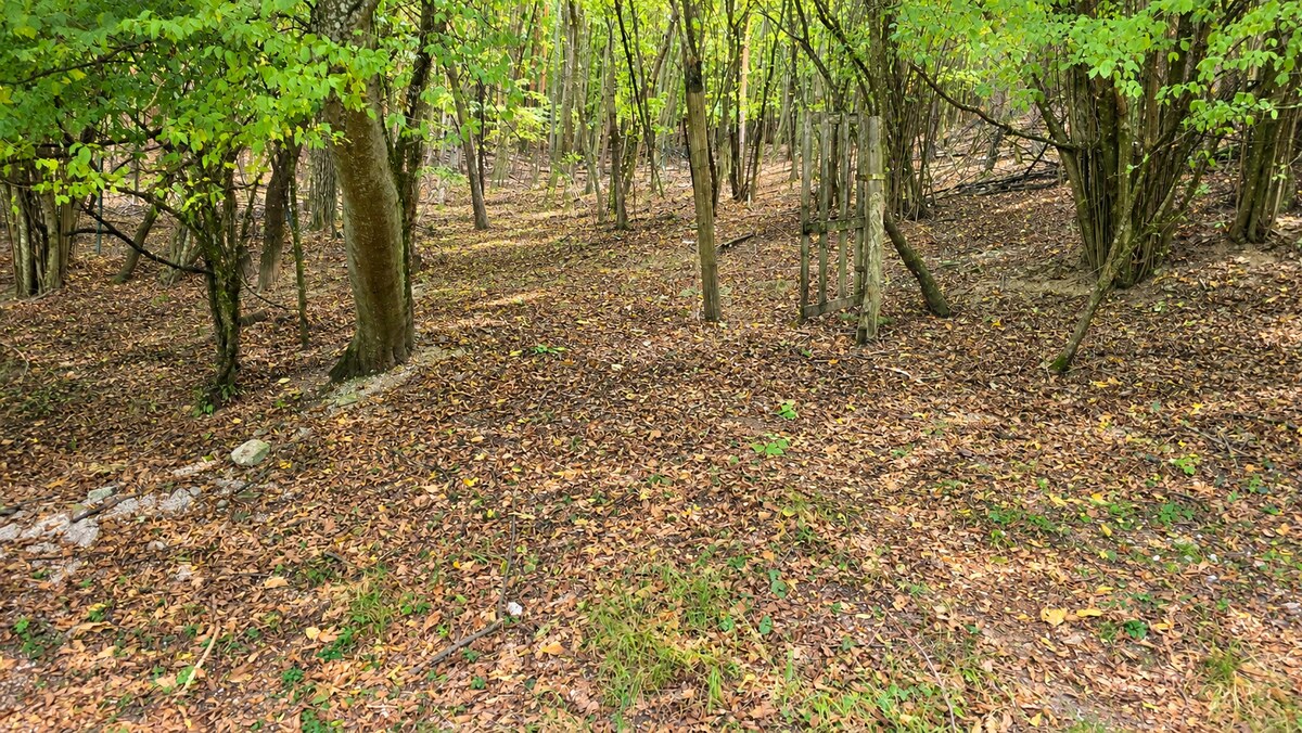 JEDINEČNÁ NEHNUTEĽNOSŤ POD HRADOM TEMATÍN – RODINNÝ DOM + 13046m2 — foto 12