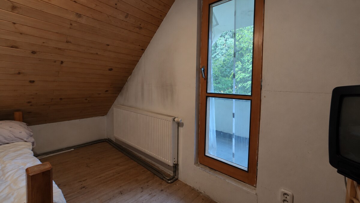 JEDINEČNÁ NEHNUTEĽNOSŤ POD HRADOM TEMATÍN – RODINNÝ DOM + 13046m2 — foto 16