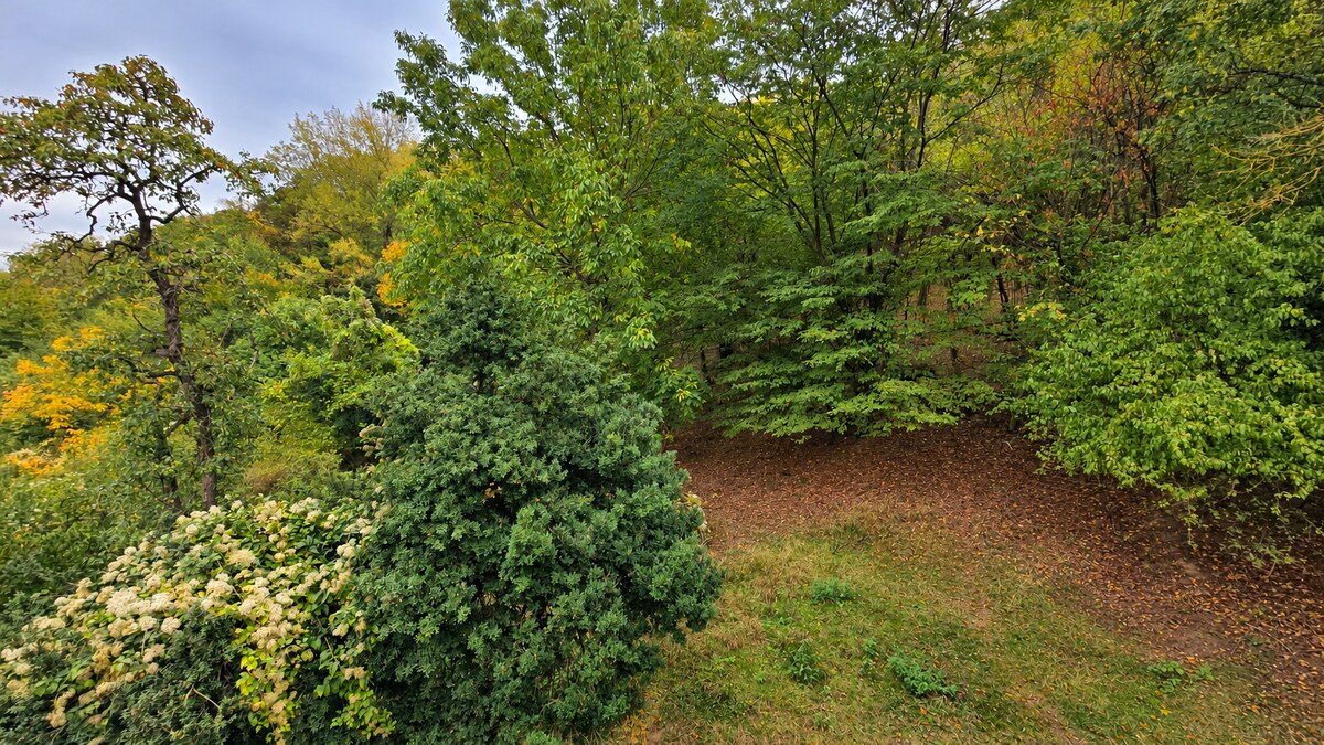 JEDINEČNÁ NEHNUTEĽNOSŤ POD HRADOM TEMATÍN – RODINNÝ DOM + 13046m2 — foto 4