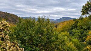 JEDINEČNÁ NEHNUTEĽNOSŤ POD HRADOM TEMATÍN – RODINNÝ DOM + 13046m2 — foto 10