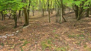 JEDINEČNÁ NEHNUTEĽNOSŤ POD HRADOM TEMATÍN – RODINNÝ DOM + 13046m2 — foto 12