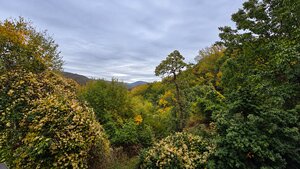 JEDINEČNÁ NEHNUTEĽNOSŤ POD HRADOM TEMATÍN – RODINNÝ DOM + 13046m2 — foto 9