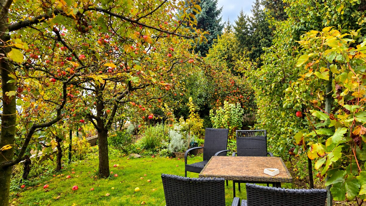 Priestranný rodinný dom na Floreáte v Piešťanoch – pozemok 616 m² — foto 12