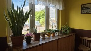 RODINNÝ DOM S DVOMI BYTOVÝMI JEDNOTKAMI – INOVECKÁ ULICA, TRENČÍN — foto 4