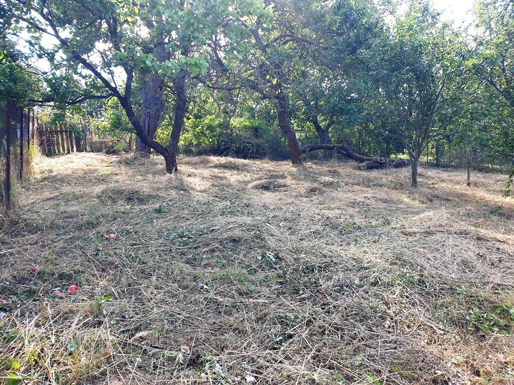 Investičný pozemok "záhrada" o výmere 691 m2 - Nové Mesto n/V — foto 7