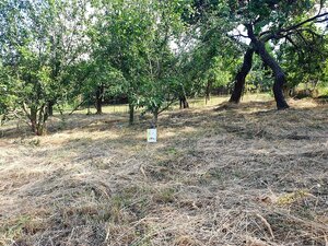 Investičný pozemok "záhrada" o výmere 691 m2 - Nové Mesto n/V — foto 3