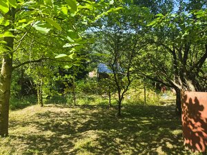 Záhradná chatka Trenčianske Teplice, pozemok 279m2 — foto 2