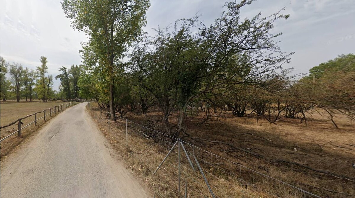 Rekreačný pozemok 4 063 m² v atraktívnom prírodnom prostredí Piešťan — foto 6