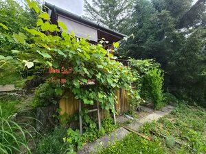 Záhradná chatka Trenčianske Teplice, pozemok 284m2 — foto 7