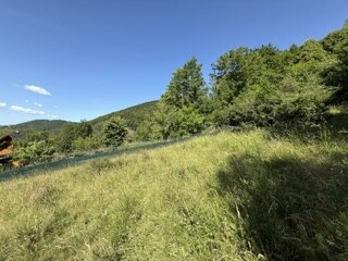 KRÁSNY rekreačný pozemok 709 m2 Zliechov - SUPER CENA — foto 7