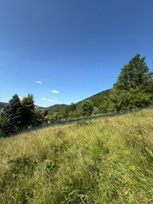 KRÁSNY rekreačný pozemok 709 m2 Zliechov - SUPER CENA — foto 17