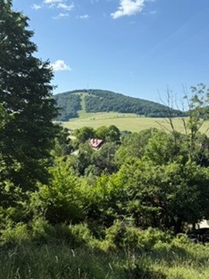 KRÁSNY rekreačný pozemok 709 m2 Zliechov - SUPER CENA — foto 18