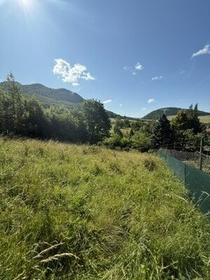KRÁSNY rekreačný pozemok 709 m2 Zliechov - SUPER CENA — foto 4
