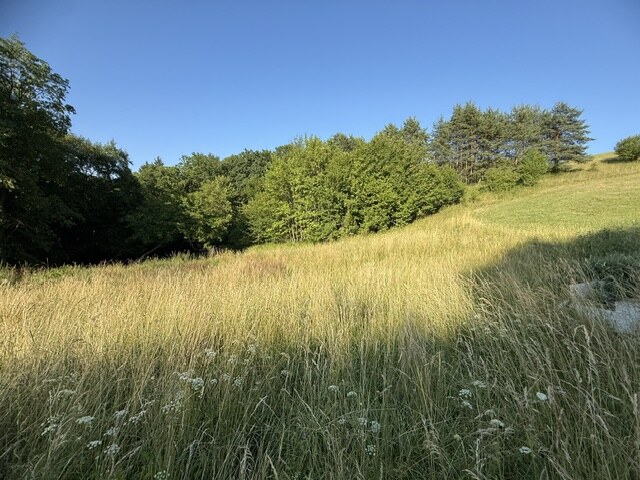 Veľký rekreačný pozemok s chatkou, Streženice (Púchov), 2400 m2 — foto 5