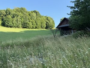 Veľký rekreačný pozemok s chatkou, Streženice (Púchov), 2400 m2 — foto 1