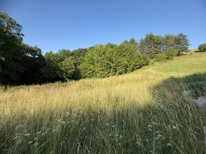 Veľký rekreačný pozemok s chatkou, Streženice (Púchov), 2400 m2 — foto 5