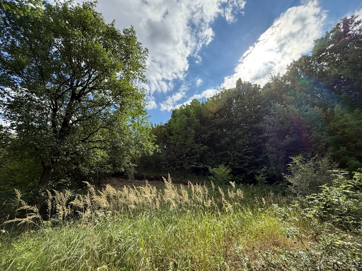 Jedinečný pozemok v krásnom prírodnom prostredí – 2,3 ha, Myjava — foto 3