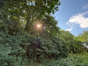 Jedinečný pozemok v krásnom prírodnom prostredí – 2,3 ha, Myjava — foto 6