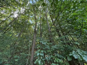 Jedinečný pozemok v krásnom prírodnom prostredí – 2,3 ha, Myjava — foto 7