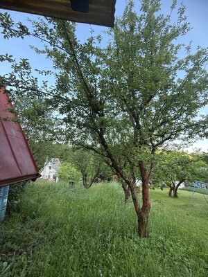 Chata v obci Košecké Podhradie, pozemok 377 m2 — foto 8