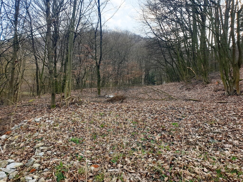Rekreačný pozemok pri lese 1139 m2 - Trenčianske Bohuslavice — foto 4