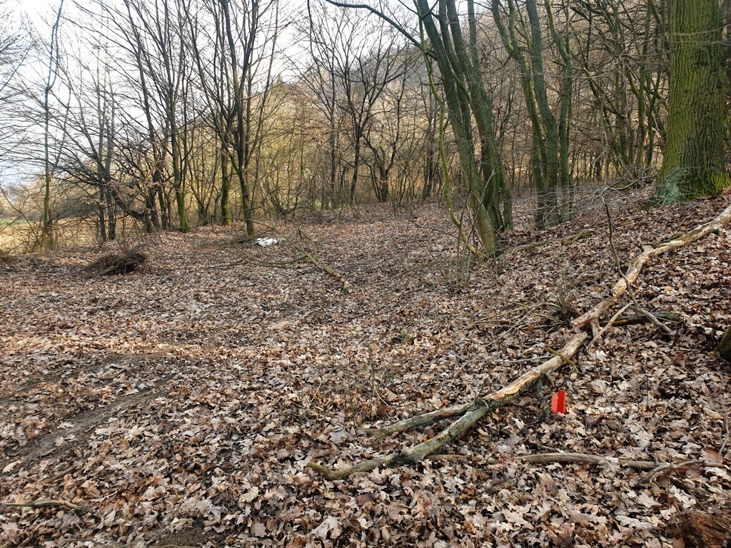 Rekreačný pozemok pri lese 1139 m2 - Trenčianske Bohuslavice — foto 5