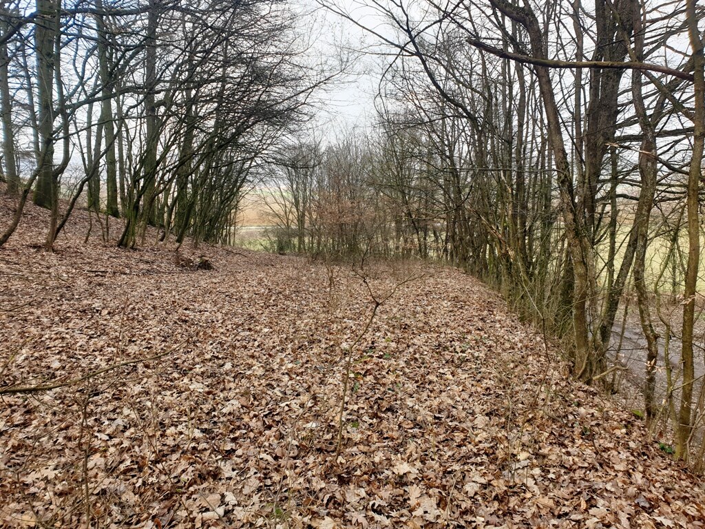 Rekreačný pozemok pri lese 1139 m2 - Trenčianske Bohuslavice — foto 8