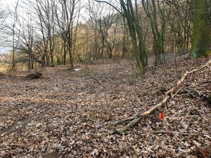 Rekreačný pozemok pri lese 1139 m2 - Trenčianske Bohuslavice — foto 5
