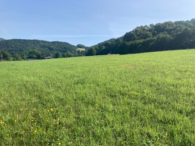 Na predaj Stavebný pozemok Nimnica, 700 m2