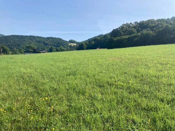 Na predaj Stavebný pozemok Nimnica, 700 m2