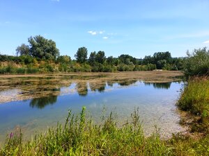 Rekreačný pozemok s troma jazerami o výmere 10ha - Zelená Voda, Beckov — foto 4