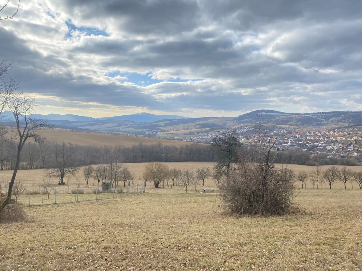 Rekreačný pozemok Dolná Súča - 1482 m2 — foto 4
