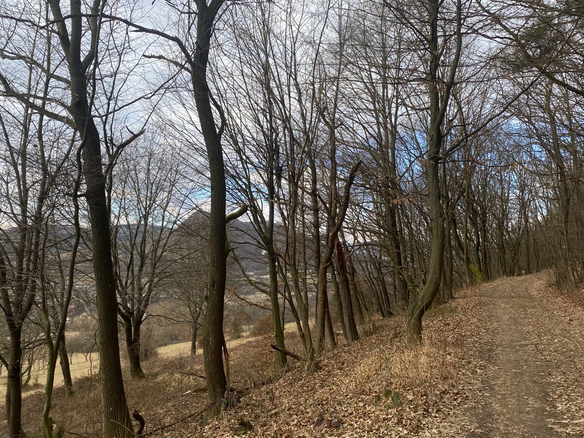 Rekreačný pozemok Dolná Súča - 1482 m2 — foto 10