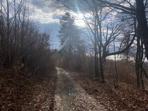 Rekreačný pozemok Dolná Súča - 1482 m2 — foto 13