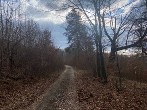 Rekreačný pozemok Dolná Súča - 1482 m2 — foto 14