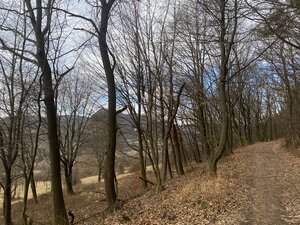 Rekreačný pozemok Dolná Súča - 1482 m2 — foto 10