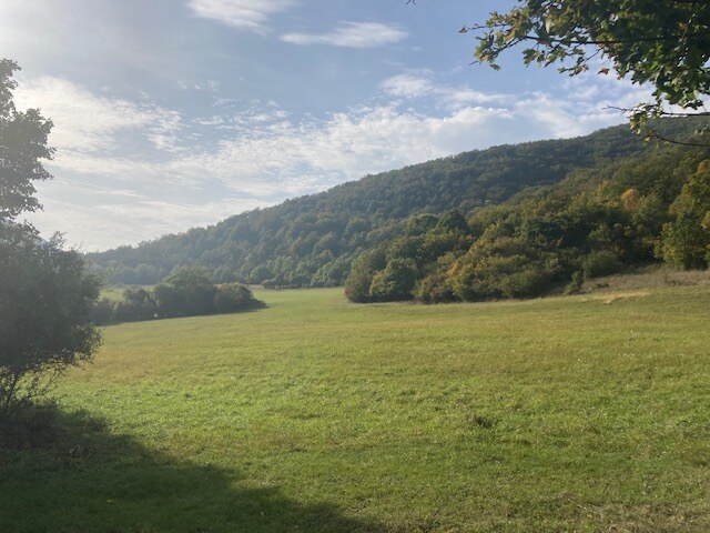 Na predaj pozemok Košecké Podhradie, 1000 m2 — foto 2