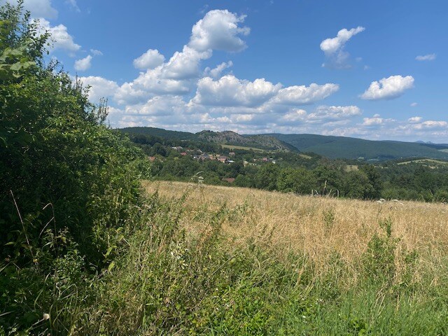 Pozemok na rekreáciu - Dolná Súča - Polníky - 1326 m2 — foto 2