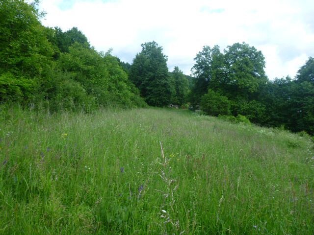 Na predaj pozemok ILAVA - HORNÁ PORUBA, 3100m2 *** KRÁSNY VÝHĽAD *** — foto 6