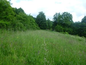 Na predaj pozemok ILAVA - HORNÁ PORUBA, 3100m2 *** KRÁSNY VÝHĽAD *** — foto 6